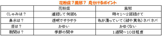 見分けるポイント